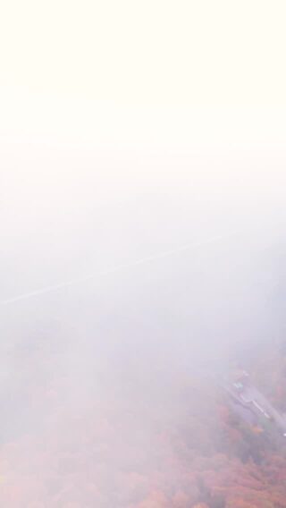 Ein spektakulärer Blick auf die Brücke von oben. ☁️😍
Drohnenflug by @luca.engl danke für die Perspektive!
#brückensteig #drohnenblick #müngstenerbrücke #brückenpark #diebergischendrei ausflugszielnrw outdoorerlebnis fromabove